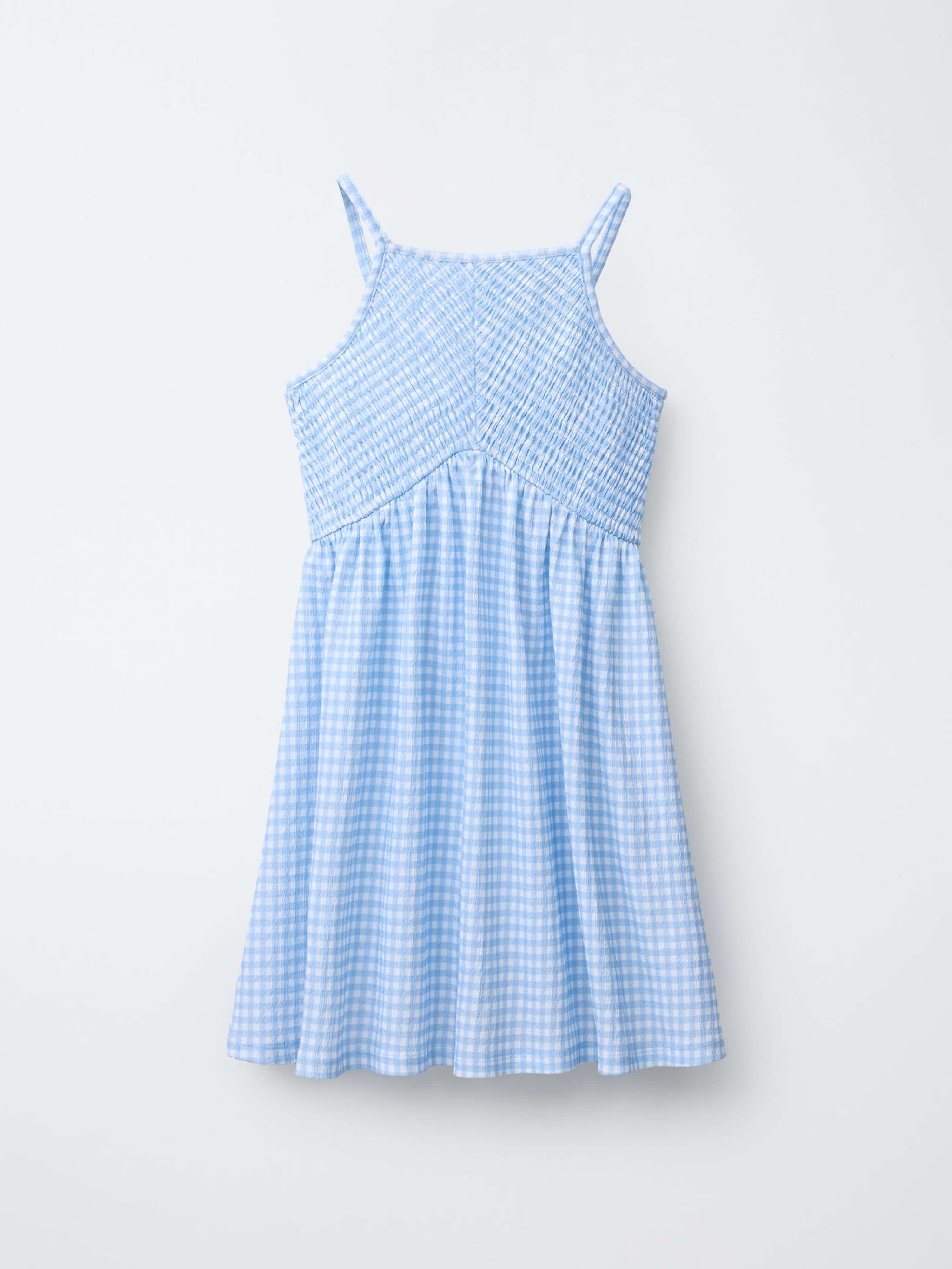 Gingham Dress Blue